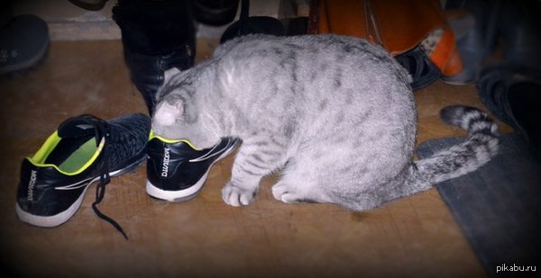 Кроссовкоман