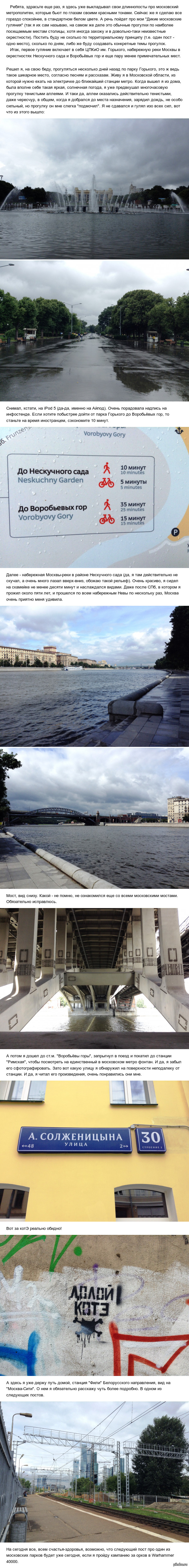 Дикие московские гуляния