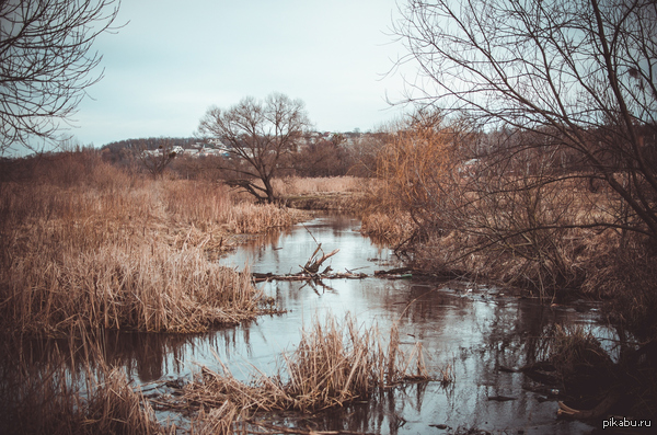 Просто мое фото.