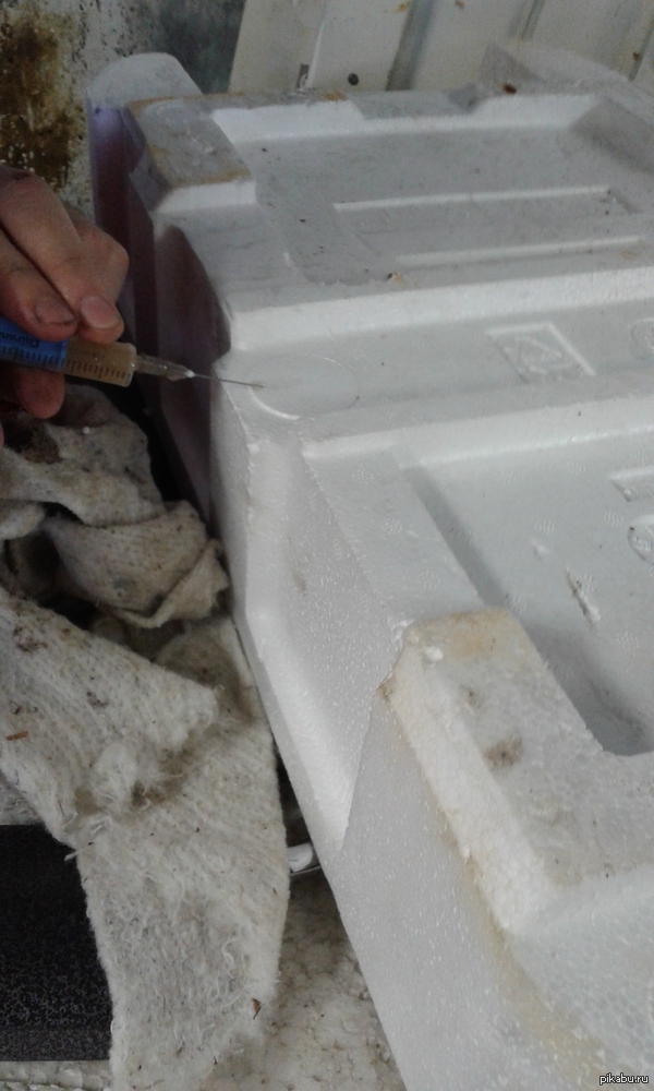 ����� � ����� ���������, � ��� �� ��������� ��� ����?