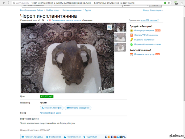 � �����.