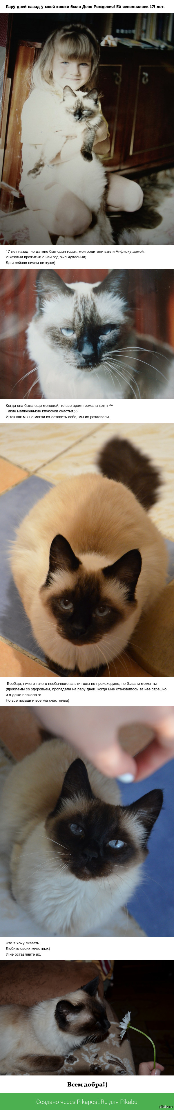 ��� ������� �������, ������ ����� :3