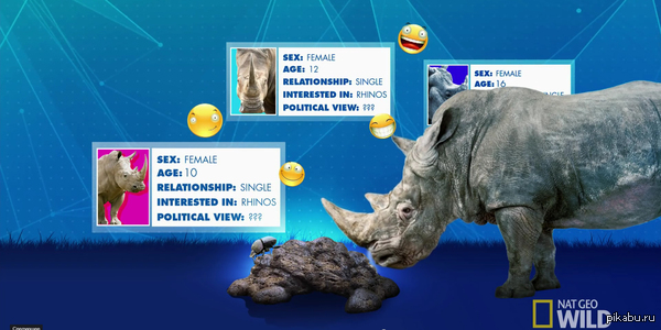 ������� ������ Nat Geo Wild �������� ������� ��������� � ����������� ������