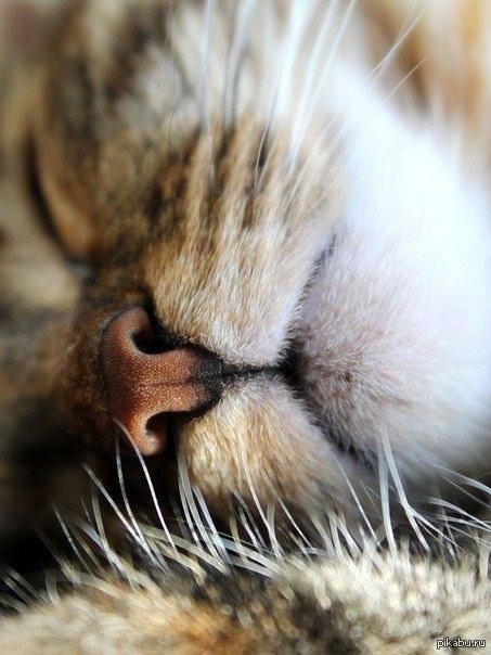 ������� ����� � ���������