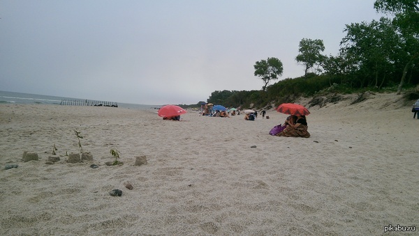 ����� �� ���������� ����.