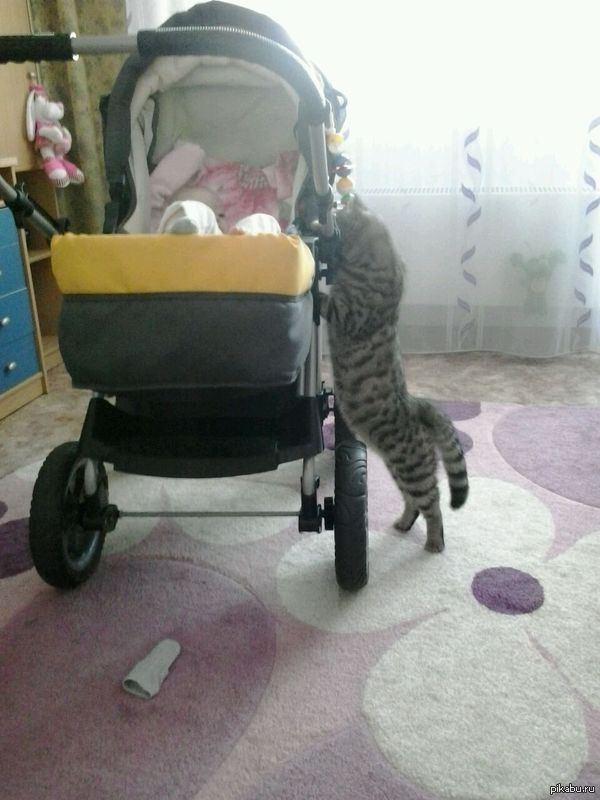     ?)) )) 