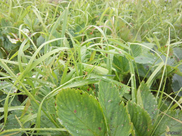 ��������� ��������