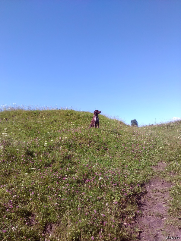 ��������.