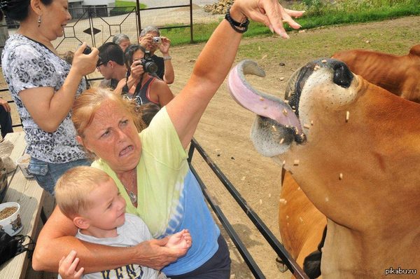 ����� ��������