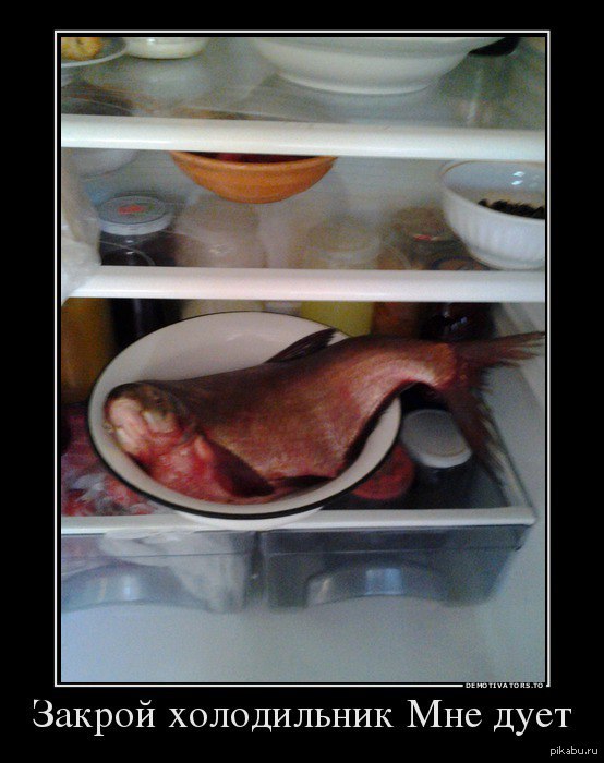 �� ������� �� ���� � ���������� �� ������������