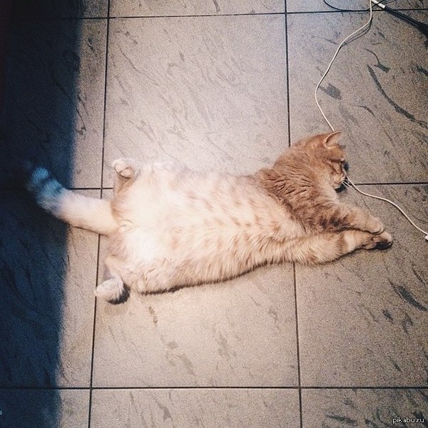 ��������� ������.