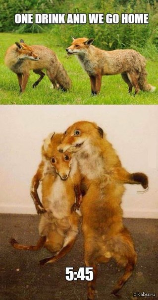 "Один глоток и мы идем домой"