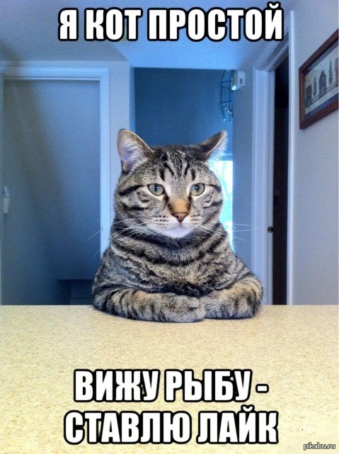 ��� �������