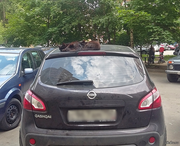 Чёрные должны держаться вместе