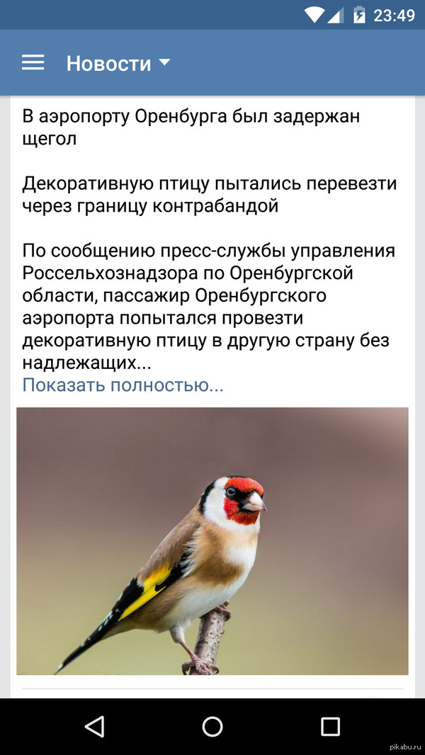 У нас вот такие новости