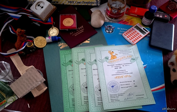 �������� �� �����