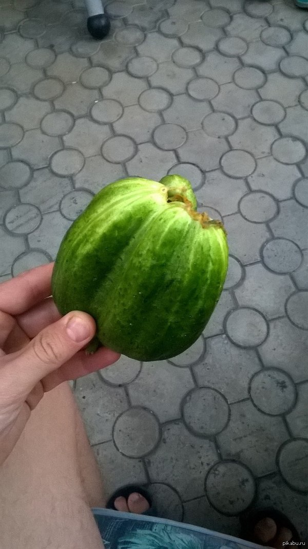 ��� ����� ��� ������ �����