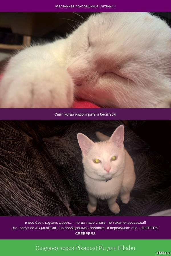 Маленькая приспешница Сатаны!!!