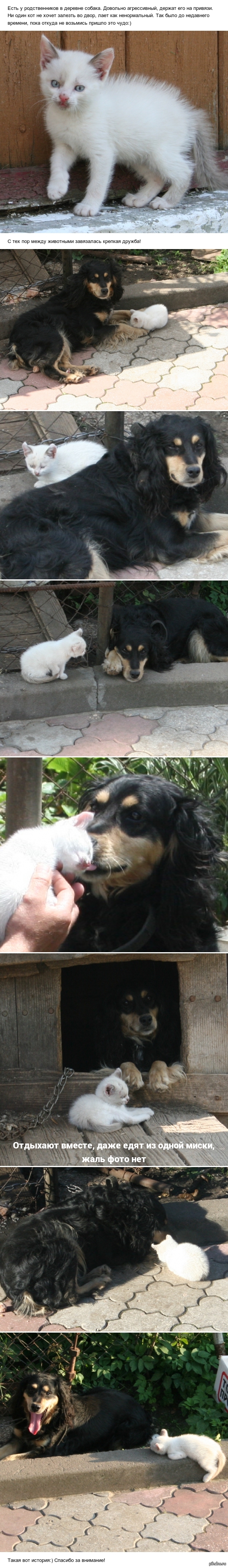 ���������� ������