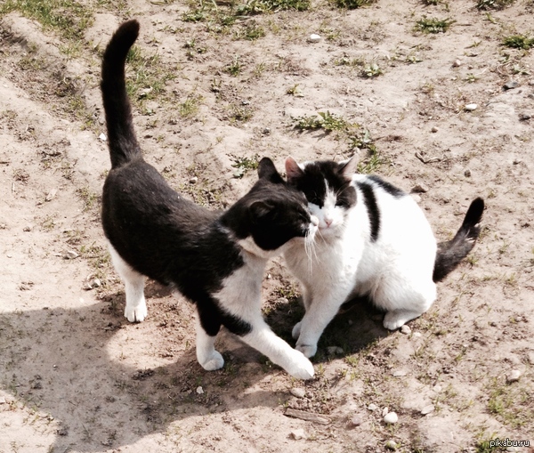 �������� ������.