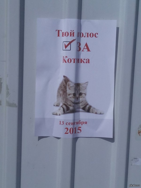 ��������� ��������!