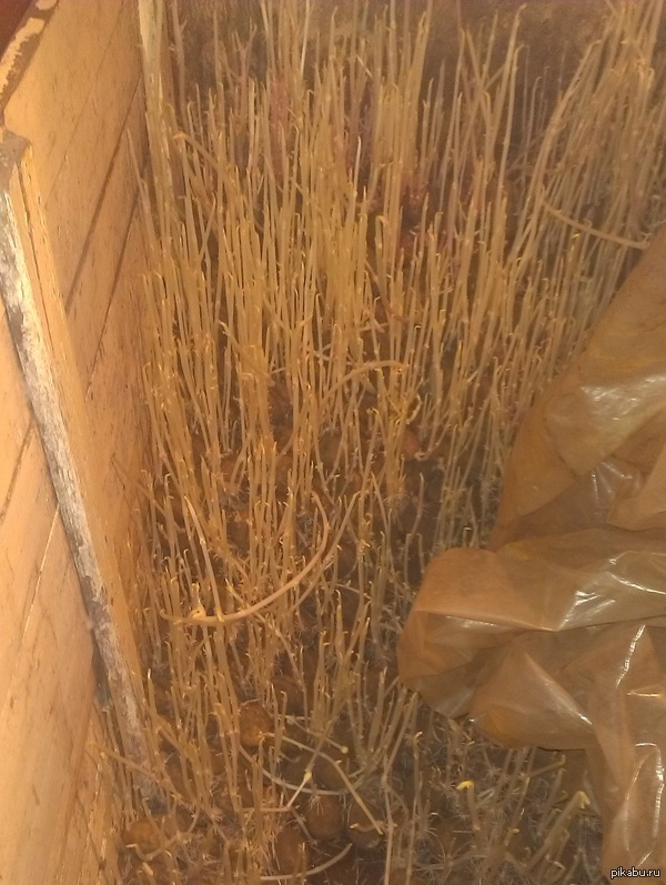 ��� ����� ���������� ������� � ���� � �������