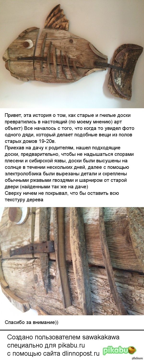 Рыба моей мечты