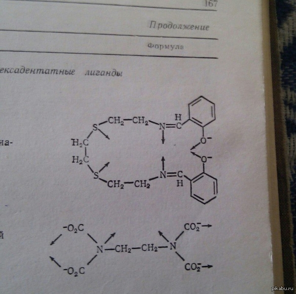 ����� �����