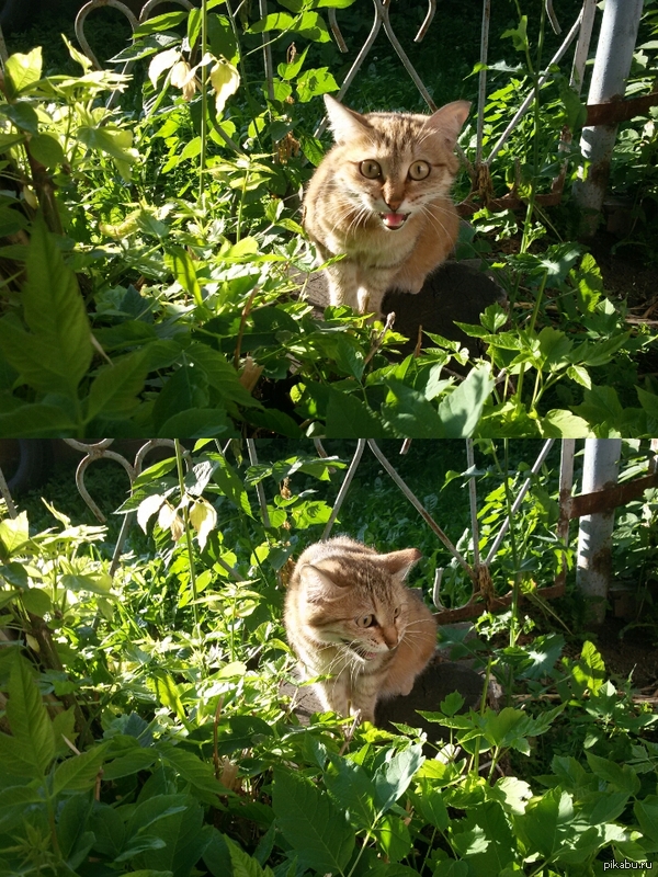 ������� ��������� ����� &amp;#65288;� � � )