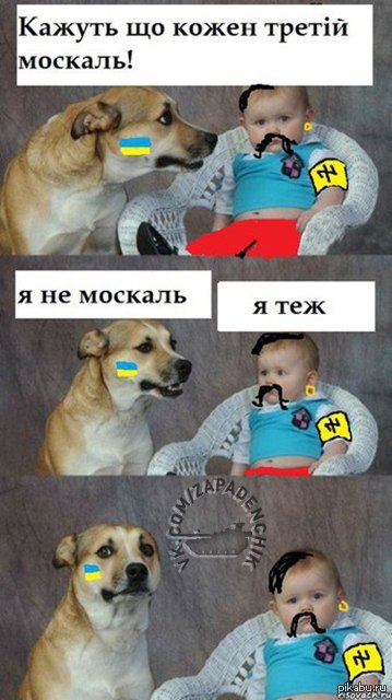      ( ) 