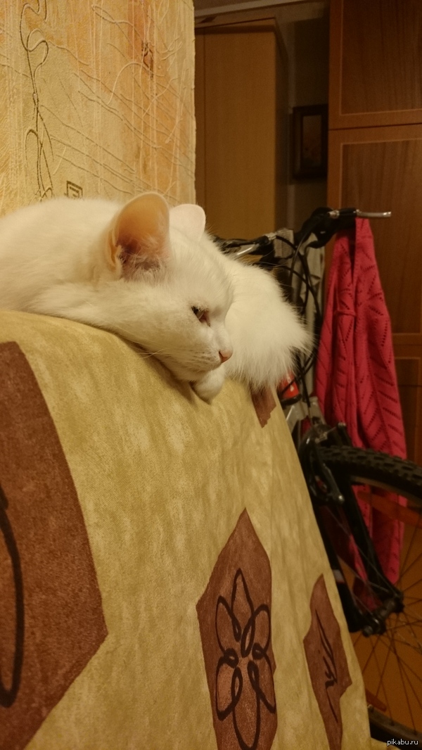 ����� ����� � ��� �������...