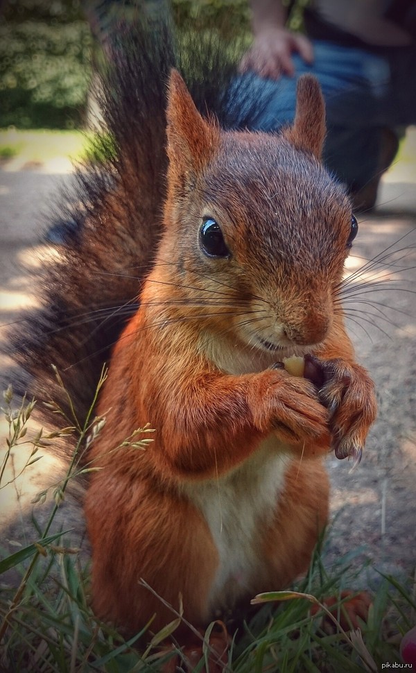 ������ ����� � ���������