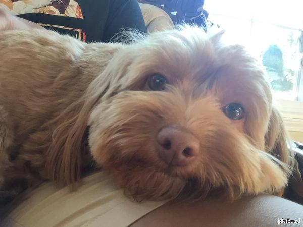 �, ������)