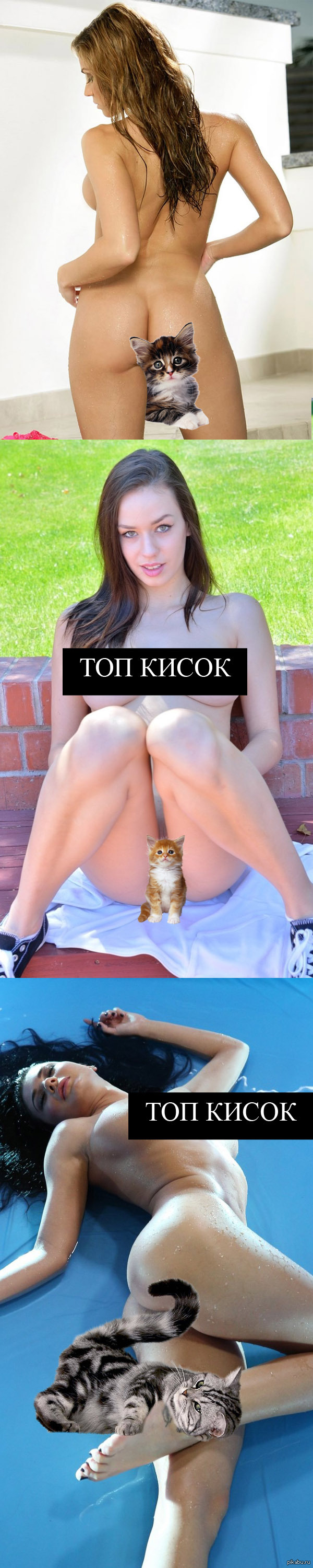 ТОП КИСОК ПОНЕДЕЛЬНИКА - Кот, NSFW, Длиннопост, Обнаженка