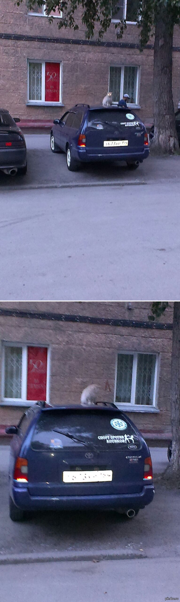 ����� ������ �������