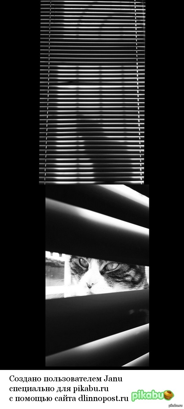 ����� �� �����  ����