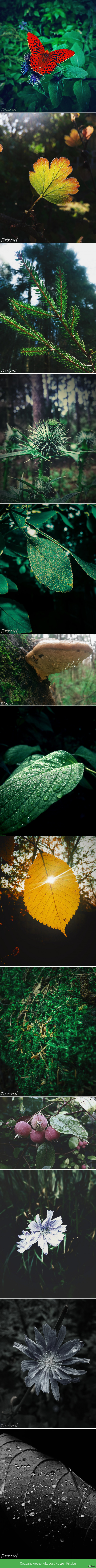 ������� � �����