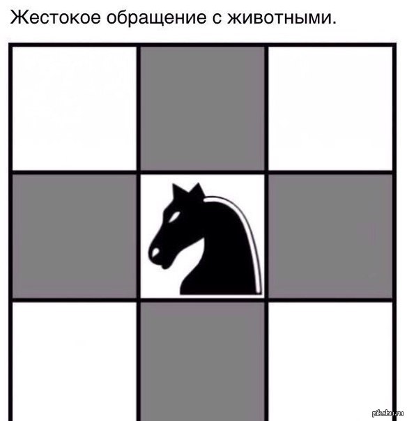 ������ �������(