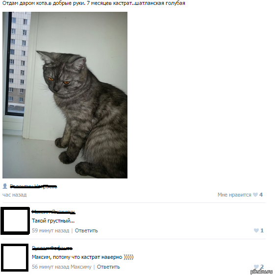 ����� �������� � ��