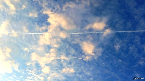 ���� � �������, ������� ������� ������ �������� � ������