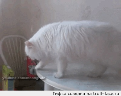 ,    ? 