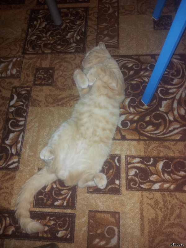 Спокойной ночи, друзья! :)