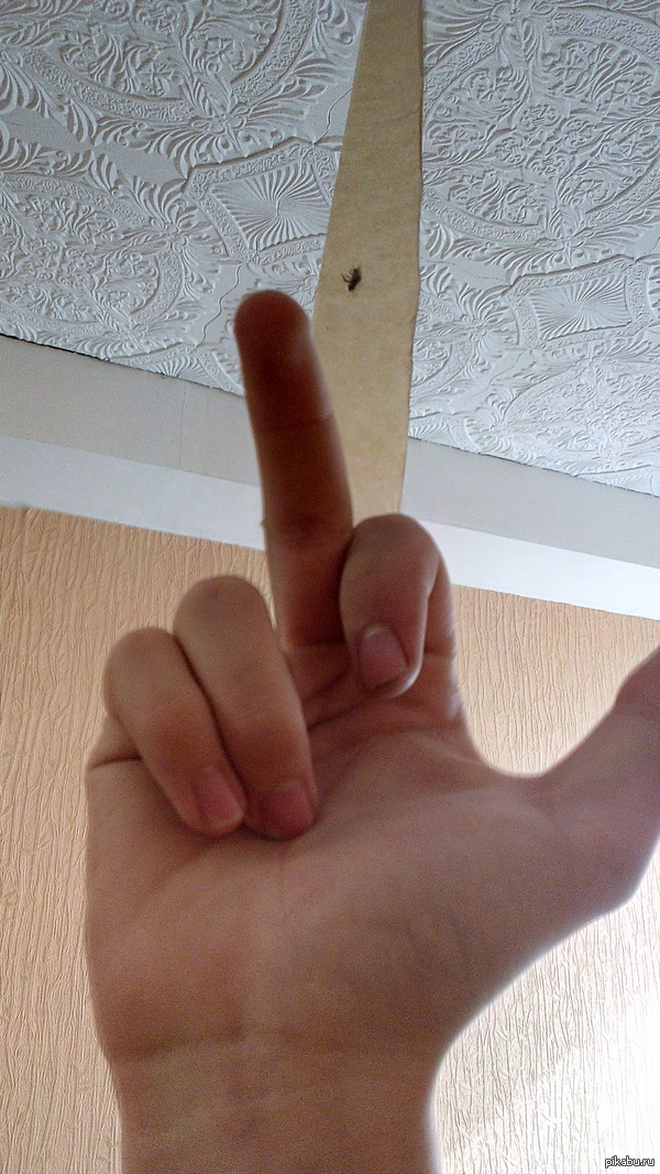 ����� �������� ������ ������!