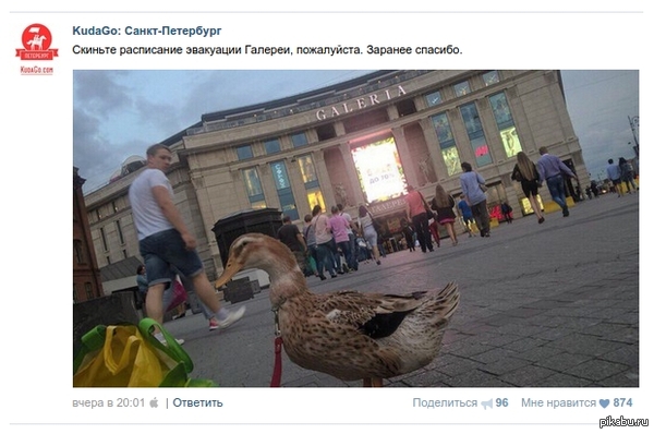 ��-�����, ��� ����������� ��� �������� � ���������� ��������� �������.