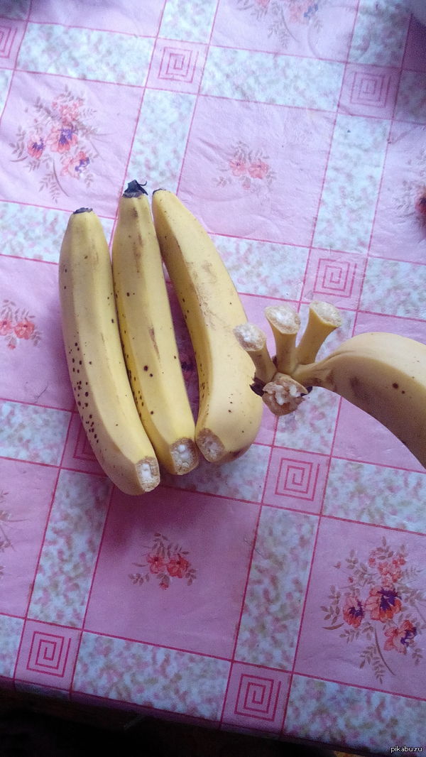 ������������ ����� ��� ������ �����������