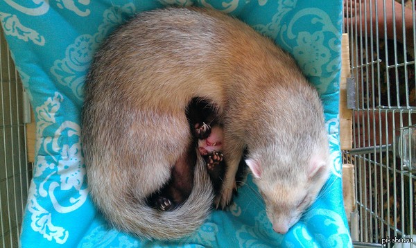 ���������, ��������, ������ :D