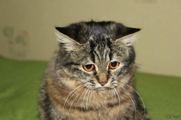 Что же с нами стало !?