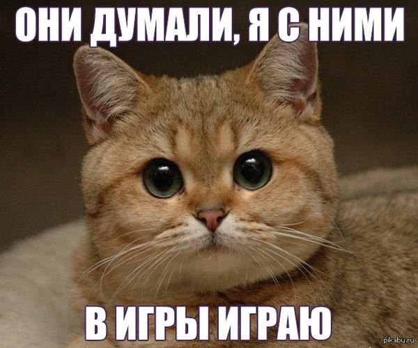 ����� ��������� ����� ������� �� ������� ������������