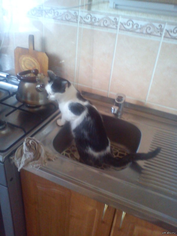 �� - �� ��, ����� ����������