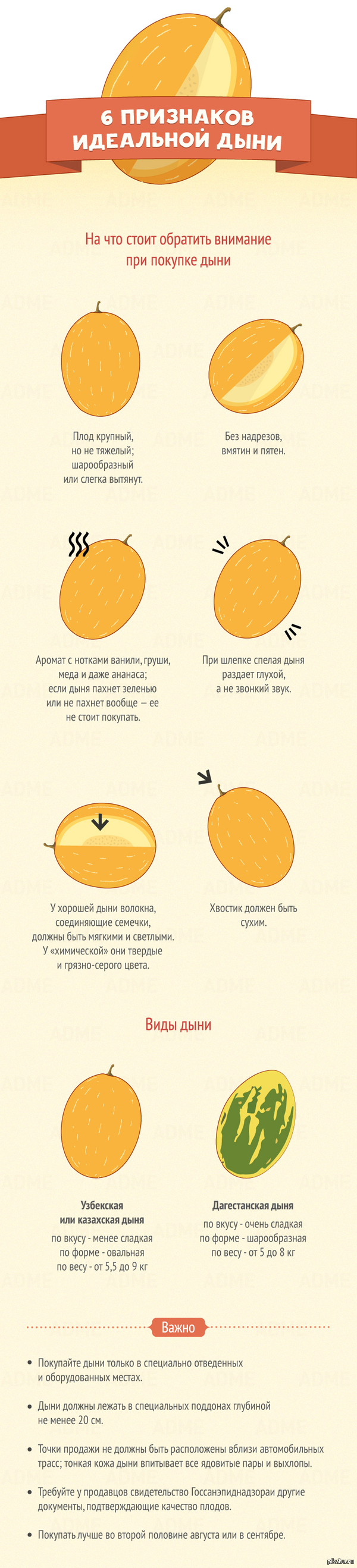 6 ��������� ��������� ����